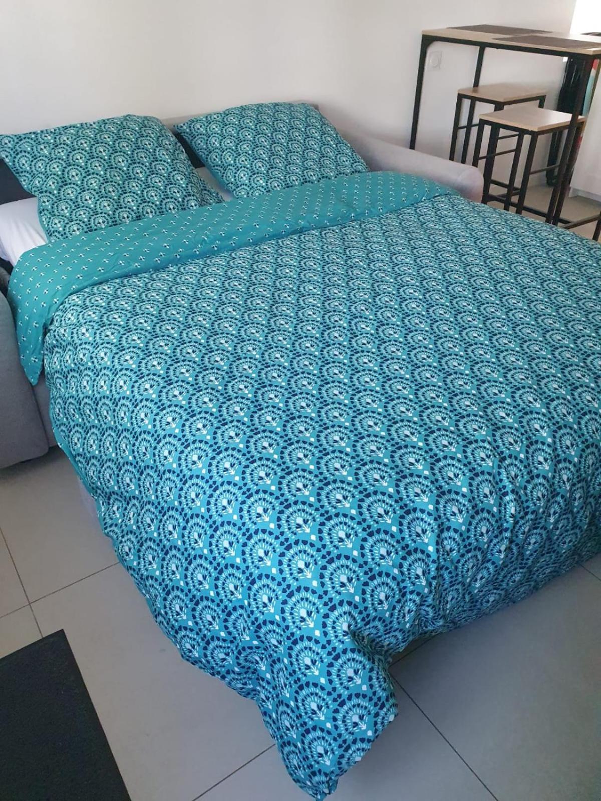 Appartement Cosy Et Calme نانت المظهر الخارجي الصورة